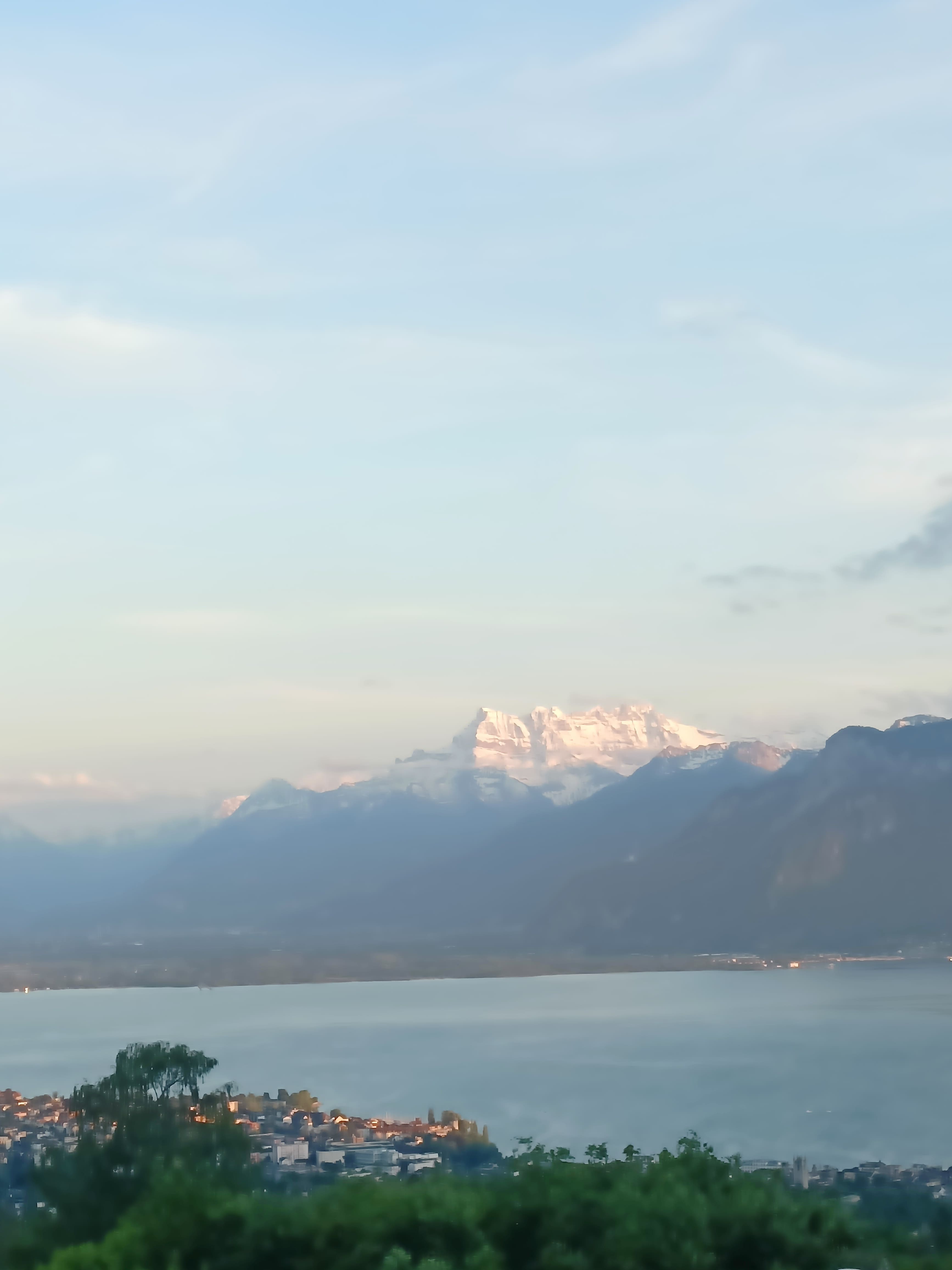 Vue sur le Léman, les montagnes et la végétation depuis la Riviera vaudoise